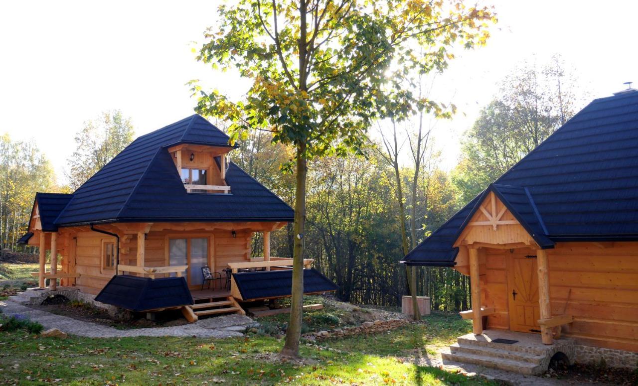 Osada Sudecka Villa Ladek-Zdroj Luaran gambar