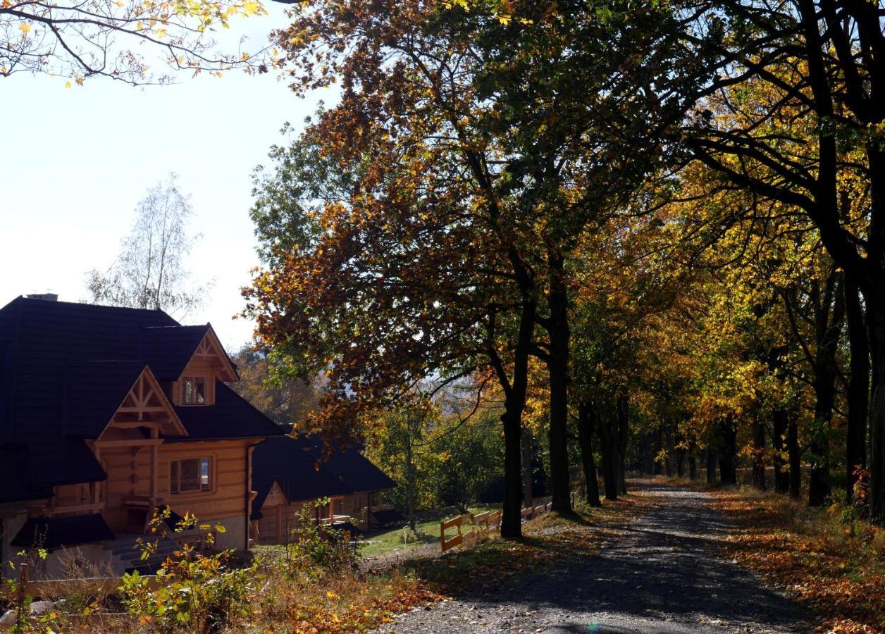 Osada Sudecka Villa Ladek-Zdroj Luaran gambar