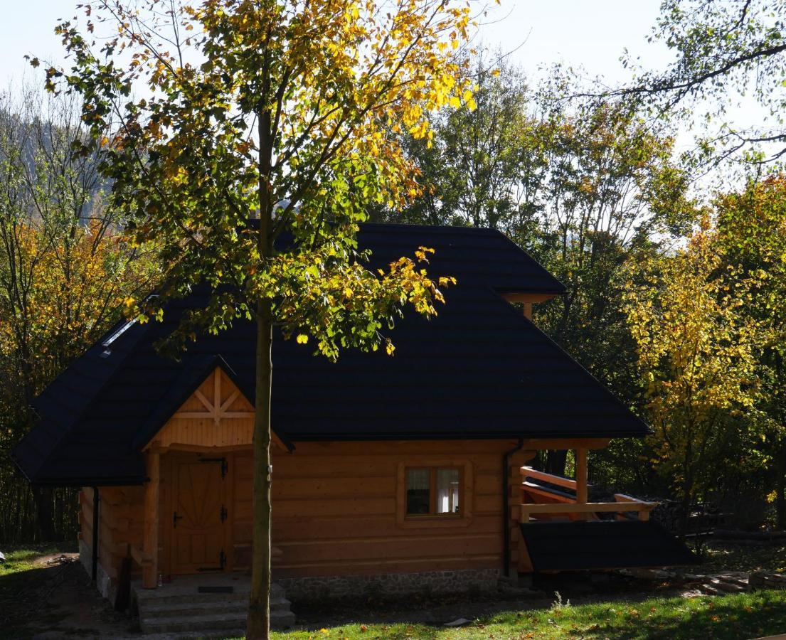 Osada Sudecka Villa Ladek-Zdroj Luaran gambar