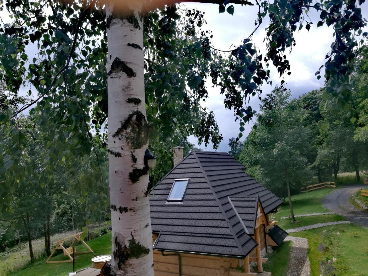 Osada Sudecka Villa Ladek-Zdroj Luaran gambar